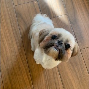 Meet your Posher, Allison